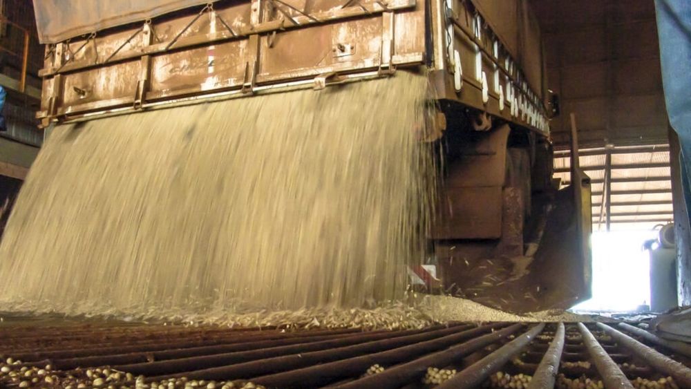 Analiști ucraineni: Cele 100.000 de tone de soia ucraineană care au trecut prin Constanța nu au rămas pe piața românească / „Importul record” s-a dovedit a fi, în mare parte, doar tranzit