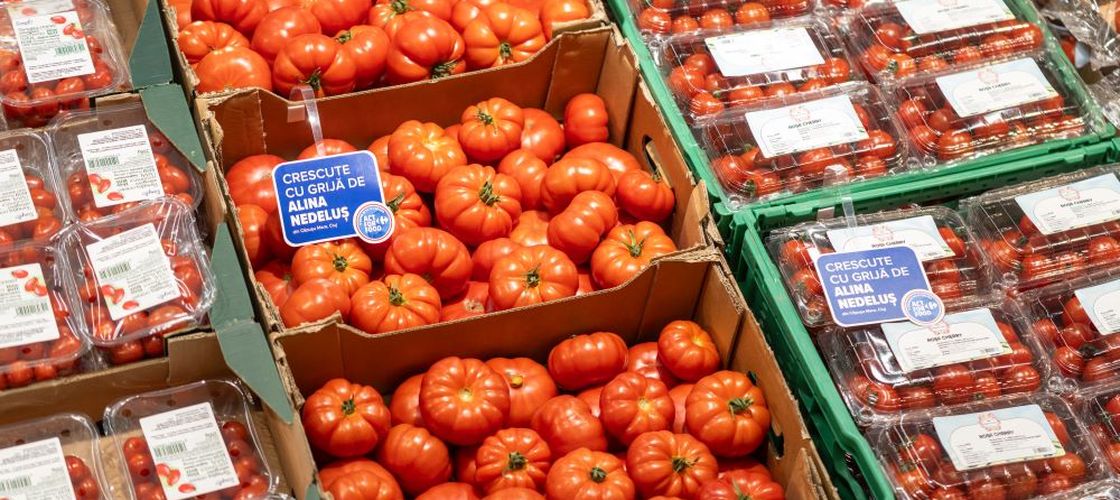 Suprafața cultivată în solarii, în Olt, crește cu 160 de hectare în 2026. Roșiile românești au ajuns deja la recoltare