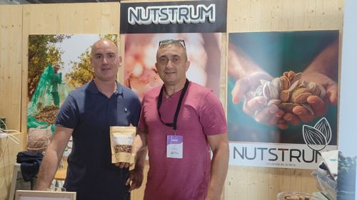 VIDEO | Cinci familii de producători de migdale s-au unit pentru a realiza o producție 100% ecologică/ Pe lângă eliminarea produselor chimice au adoptat și măsuri de susținere a faunei și florei locale, pentru ca natura să le fie cel mai bun aliat