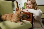 Japonia anchetează cafenelele cu animale. Autoritățile verifică cum sunt ținute bufnițele, aricii și capibarele