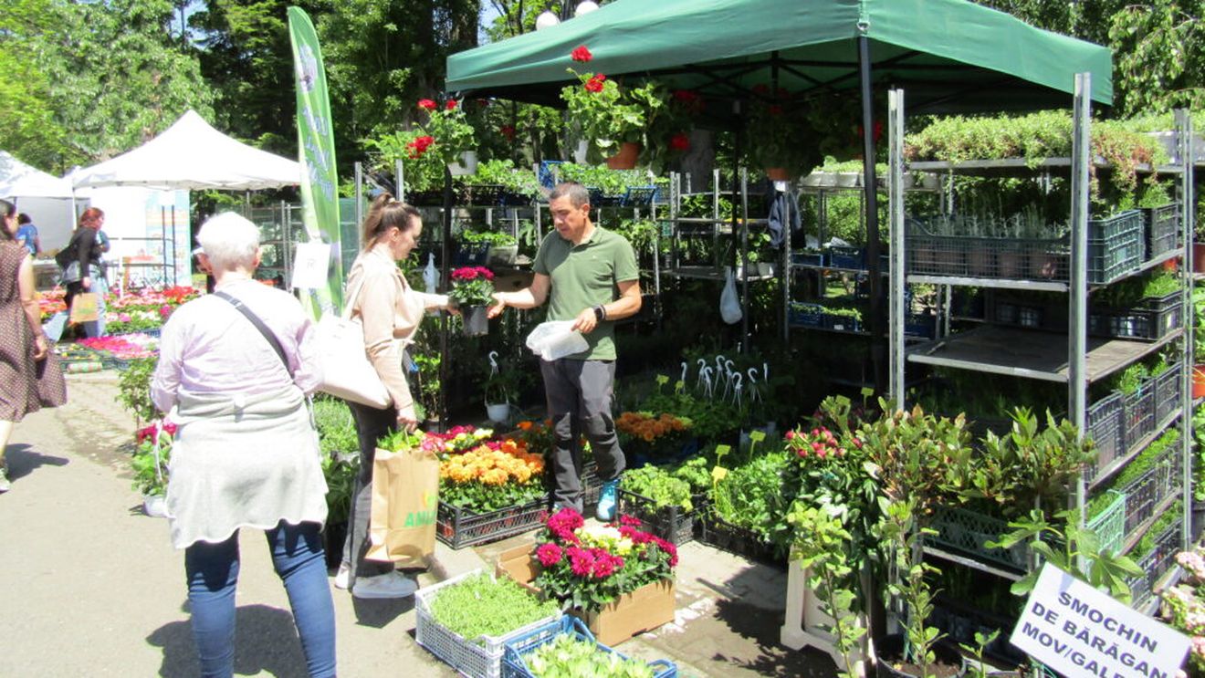 Zilele Horticulturii Bucureștene la USAMVB, sub semnul bujorului