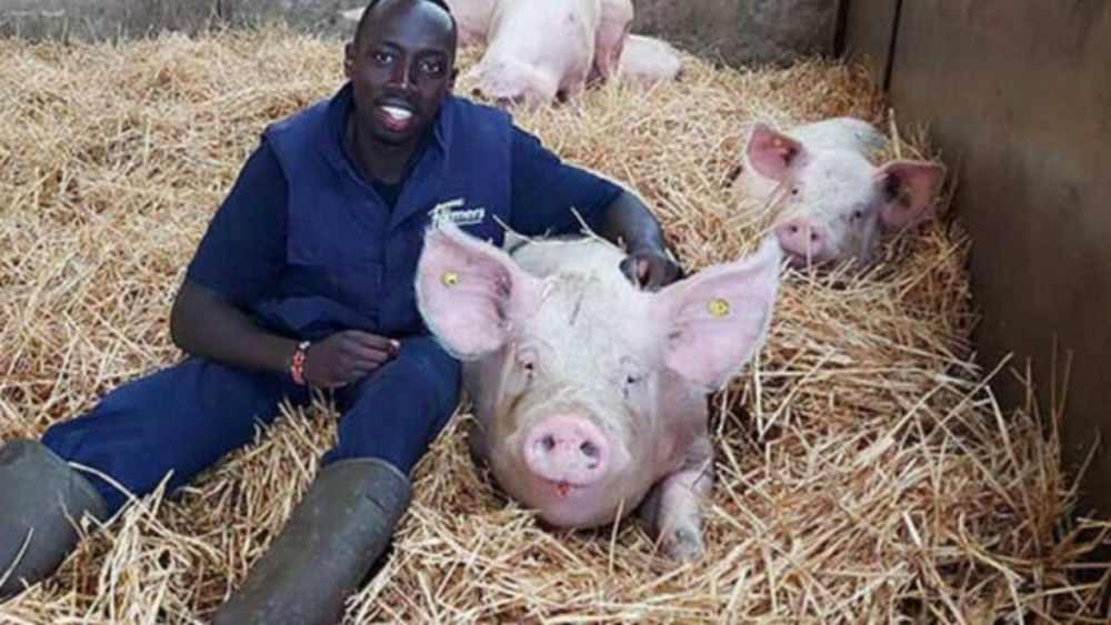 Povestea emigrantului kenyan care a devenit un model pentru fermierii englezi. Cum a reușit Flavian Obiero să-i cucerească pe britanici