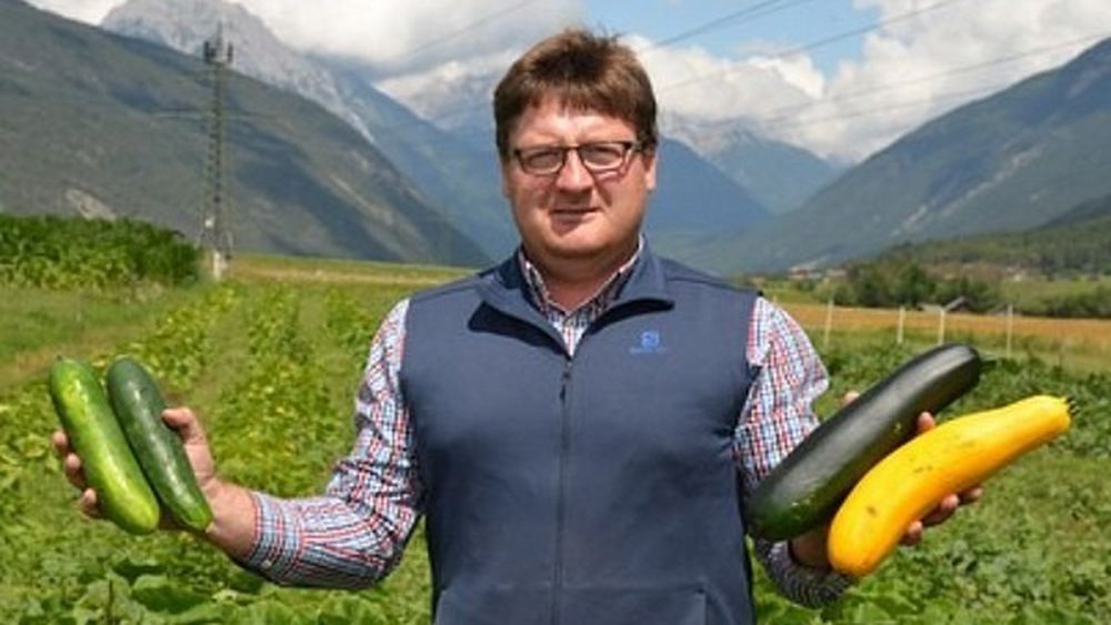 Un cultivator de legume din Austria își extinde afacerea în România: „Costurile pentru terenuri sunt mai reduse, iar condițiile generale de producție sunt mai bune” / „Inițial, vom cultiva produse standard, precum cereale, cartofi, varză și salată. Pe viitor, însă, ne dorim să introducem și culturi de nișă, cum ar fi brocoli sălbatic, varză roșie sau soiuri speciale de sfeclă”