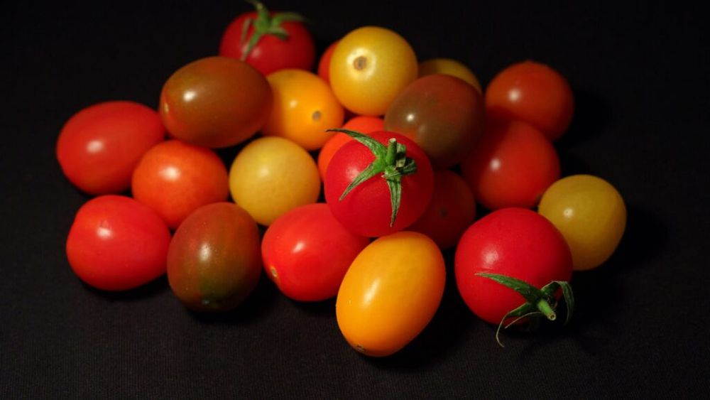 Tomatele galbene, mai nutritive decât cele roșii?/  Ambele sunt pline de fibre, vitamine și minerale, dar cele galbene sunt câștigătoare