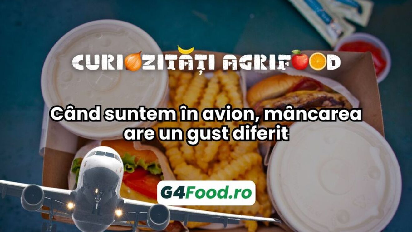 Curiozități agrifood - 28 octombrie: Când suntem în avion, mâncarea are un gust diferit