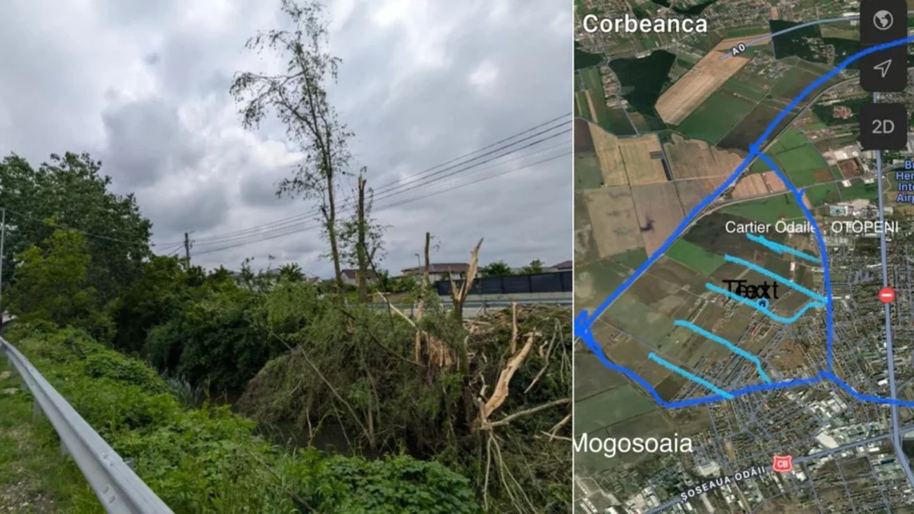 FOTO | Lucrările de curățare a vegetației de pe Canalele de desecare ale Orașului Otopeni, oprite de populație