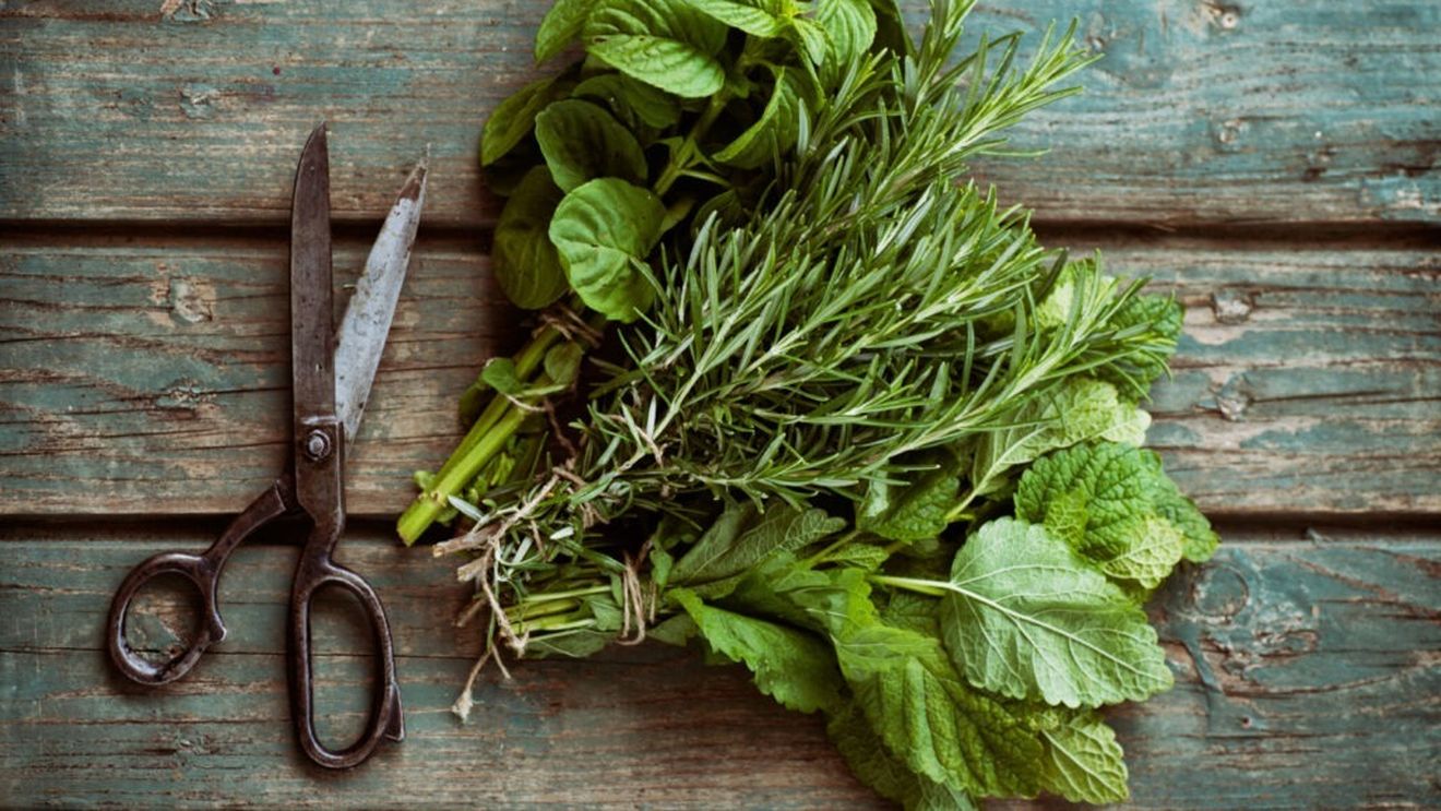 Ghidul plantelor aromatice în bucătărie / Află cum să le folosești și cum să le depozitezi, pentru a le păstra aroma cât mai mult timp