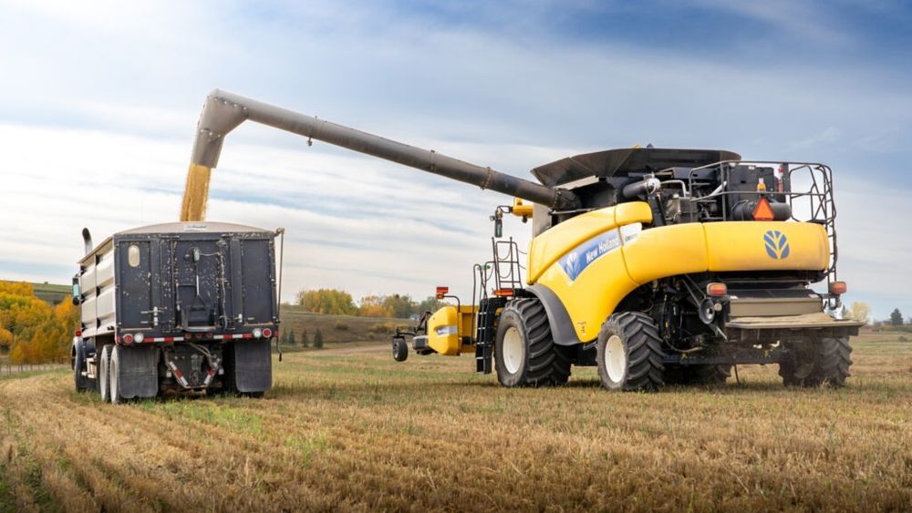 Specialiștii anticipează scumpiri la alimente din cauza producției agricole mondiale slabe / Situația nu depinde de recolta internă / Theodor Ichim, mare fermier: Dacă se face producție în România și există cerere mondială, toată lumea se va duce către export