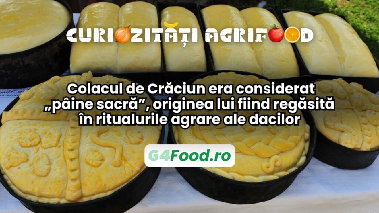 Curiozități agri-food 26 decembrie: Colacul de Crăciun era considerat „pâine sacră”, originea lui fiind regăsită în ritualurile agrare ale dacilor