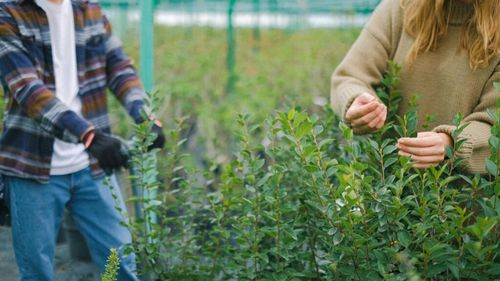 România trebuie să crească de cinci ori suprafața agricolă certificată ecologic pentru a atinge procentul stabilit de Comisia Europeană pentru statele membre