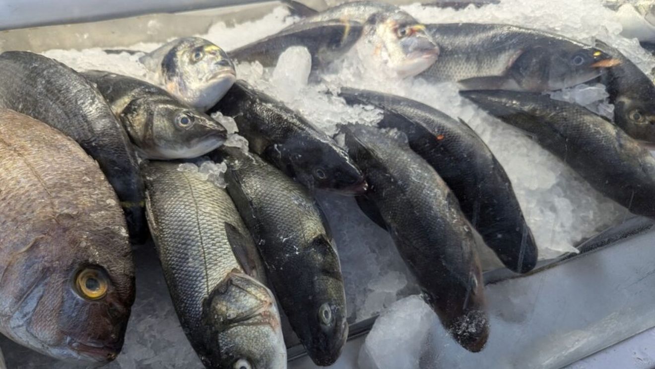 Europenii consumă mai puțin pește și sunt mai atenți la preț, arată un sondaj al Comisiei Europene