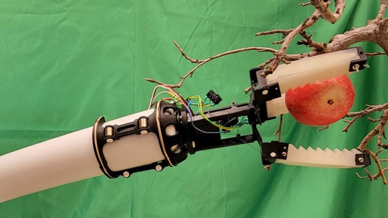 O universitate a dezvoltat un dispozitiv de prindere robotizat, ieftin, pentru recoltarea automată a merelor / SUA se confruntă cu o criză gravă de lucrători în livezi