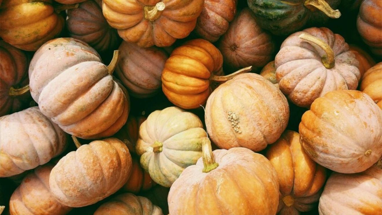 Ce poți face în acest weekend în București / Târgul Pâinii, Piața Țărănescă și Toamna Horticolă Bucureşteană