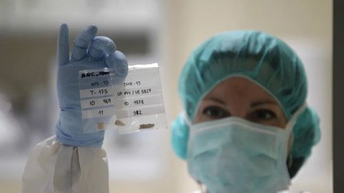 Editarea genomică continuă să divizeze agricultura convențională și cea ecologică/ 2025 ar putea fi anul când autoritățile europene finalizează reglementările în domeniu