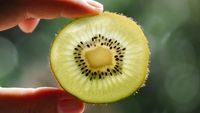 Kiwi-ul verde, primul fruct proaspăt pentru care UE autorizează o mențiune de sănătate privind funcția intestinală / Decizia vine după mai mulți ani de cercetări și evaluări științifice