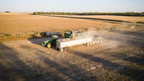 Fermierii ar putea cere demolarea locuințelor ridicate ilegal lângă ferme. Senatul a adoptat un proiect care întărește protecția exploatațiilor agricole