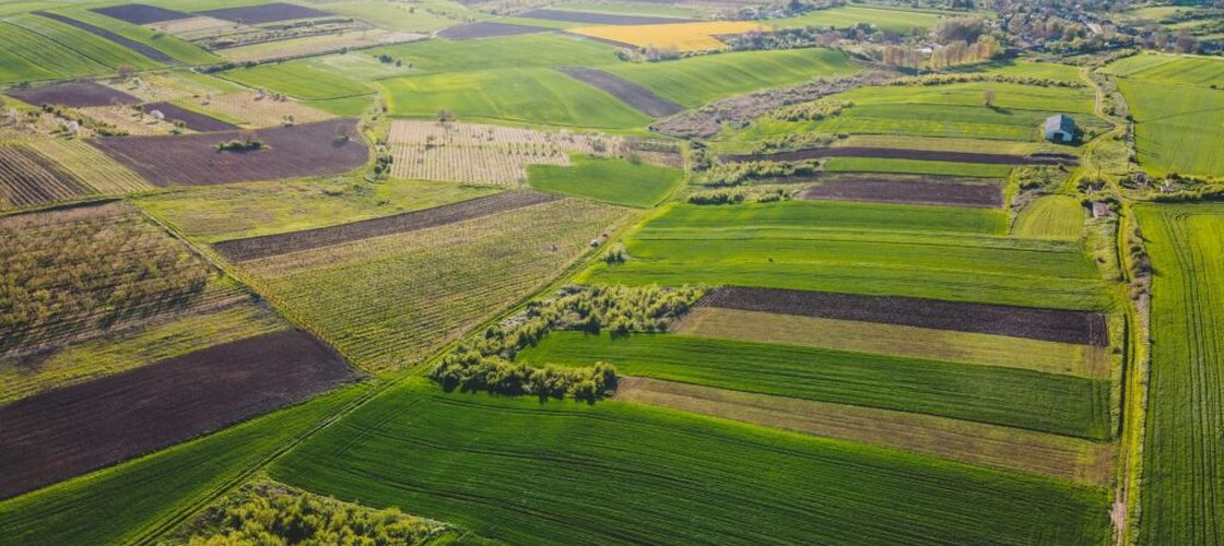 Cum va fi vremea/ Specialiștii recomandă accelerarea lucrărilor de semănat pentru culturile de primăvară