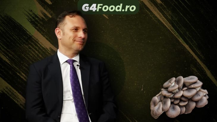 VIDEO | Proiectul Mushnomics sau cum să folosești zațul de cafea la creșterea ciupercilor / Oliviu Matei, profesor universitar specializat în AI: „Am dezvoltat containere complet inteligente și automatizate pentru creșterea pleurotus-ului”