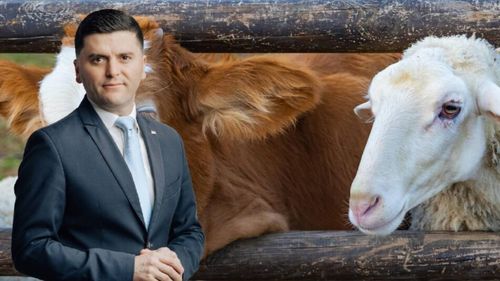 Alertă privind febra aftoasă | Deputatul PNL Adrian Cozma cere măsuri urgente pentru protejarea fermierilor români: „Riscăm costuri enorme cu uciderea și ecarisarea animalelor, dar și pierderi economice uriașe, în special în sectorul ovin”