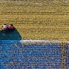 Comisia Europeană va folosi inteligența artificială pentru depistarea fraudelor alimentare și a riscurilor pentru sănătate