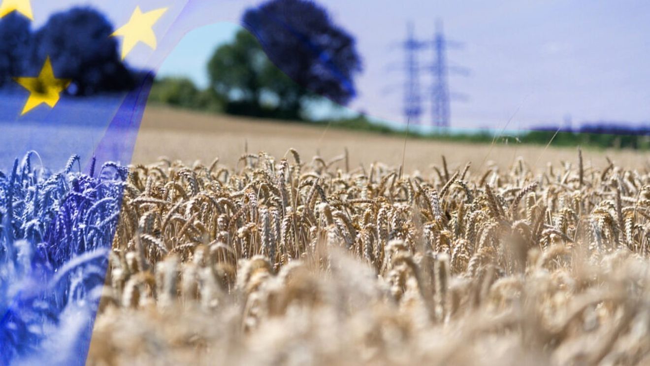 Sute de ONG-uri denunță relaxarea politicilor ecologice ale UE pentru sectorul agroalimentar: „O încercare oportunistă” a politicienilor de a obține sprijin înaintea viitoarelor alegeri