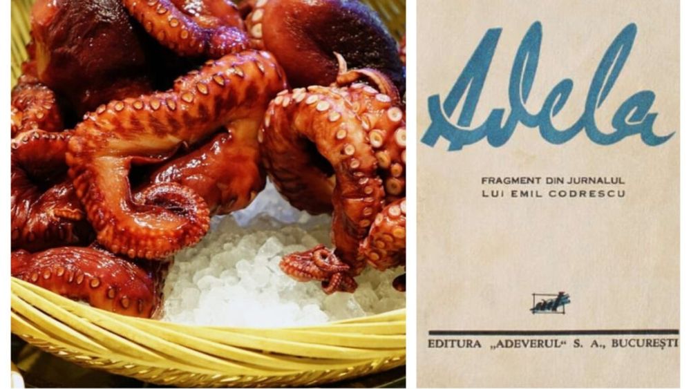 Cum a înmormântat o caracatiță personajul lui Garabet Ibrăileanu din romanul „Adela”, publicat în 1933: „Mireasma — ca orice emanaţie subtilă, de roze şi de caracatiţă — nu cunoştea bariere şi continua să îmbălsămeze împrejurimile”