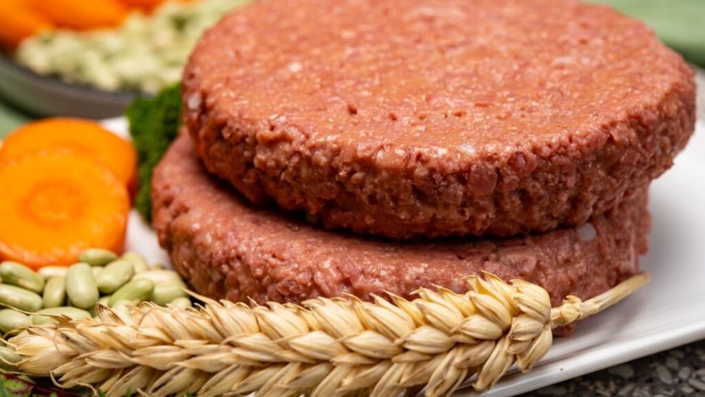 Piața cărnii de laborator, în criză. Unilever și Nestlé caută să vândă diviziile de carne vegetală, iar primele startup-uri din sector și-au revizuit în scădere prognozele