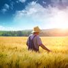 Tot mai puține cereri pentru subvențiile APIA în Buzău. Fermierii spun că agricultura devine tot mai puțin atractivă