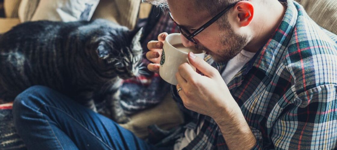 Băutura de dimineață care ar putea reduce stresul, potrivit unui studiu / Cât ar trebui să consumi pentru efecte benefice