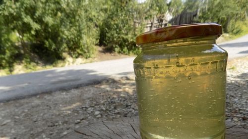 Situație alarmantă în apicultura europeană: anul acesta a fost obținută cea mai scăzută recoltă de miere din ultimele decade; ce măsuri au luat autoritățile românești în 2020 pentru sectorul apicol