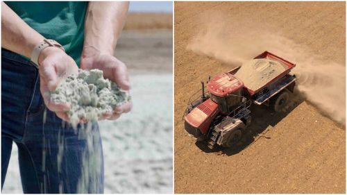 Startup-urile folosesc „praf de rocă” pentru a face agricultura ecologică / Cum a ajuns un mineral din Norvegia să îmbunătățească mediul în Mississippi