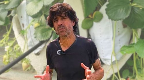VIDEO Cultivarea hidroponică a căpșunilor / Fermier: Am introdus irigarea prin picurare și cultura hidroponică pentru a economisi apă și pentru a reduce bolile plantelor