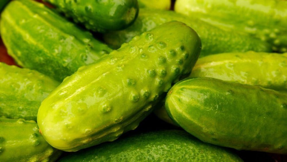 Toate proprietăție nutriționale ale castraveților. Conțin peste 90% apă și foarte puține calorii, dar au și unele contraindicații