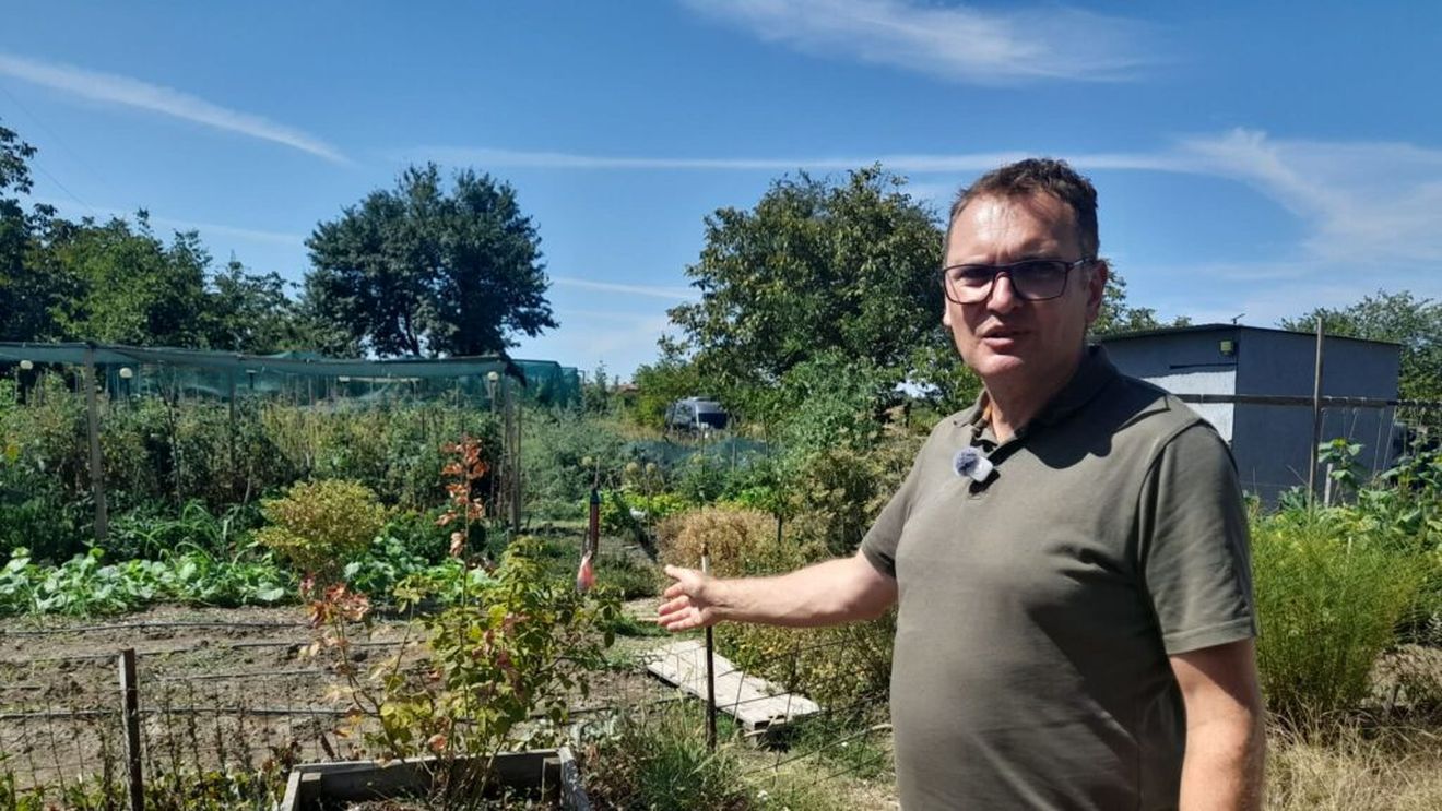 GALERIE FOTO | De la roșiile bunicilor la agricultura de pe YouTube: cum au renăscut grădinile urbane ale Timișoarei