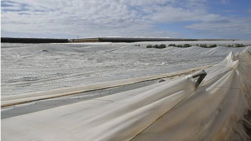 Furtuna care a afectat Spania a distrus și 6000 de ha de teren agricol și sere în Andaluzia/ Fermierii solicită compensații pentru recolta pierdută