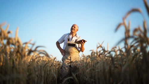 Franţa, o putere agricolă europeană ameninţată de declin / În ultimul deceniu a pierdut 100.000 de ferme