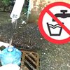Atenție la apa din izvoare! Autoritățile verifică sursele naturale din Maramureș și avertizează că unele pot deveni improprii pentru consum / Avertismentul vine pe fondul secetei și a temperaturilor ridicate