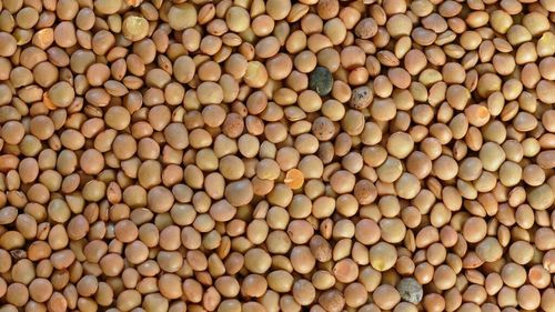 Studiu recent: cele mai sănătoase 5 alimente din lume. La unele dintre ele putem avea ușor acces