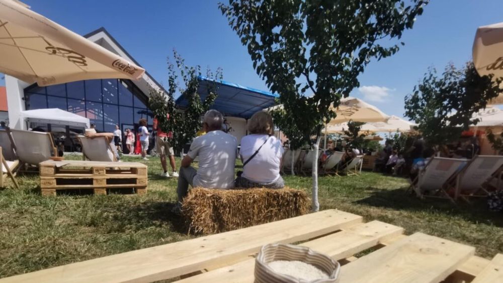 FOTO | „Din păcate, nu se mai cultivă orez la noi” / Cum a trăit satul Partoș din județul Timiș dintr-o cultură unică, azi doar o amintire