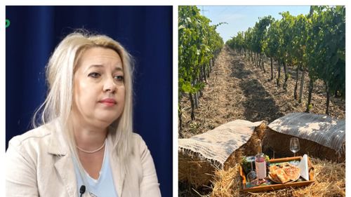 VIDEO | Oana Stan, marketing manager la Domeniul Bogdan, singura cramă din România care produce vinuri biodinamice: „Vinificăm după aceleași standarde științifice ca o cramă convențională”