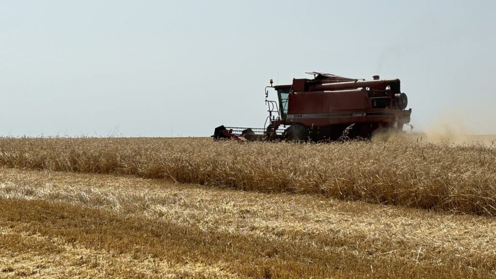 Prevederi din noua viziune a UE pentru agricultură, criticate de fermierii spanioli: „O absurditate și un regres care nu pot fi catalogate decât ca un demers complet lipsit de sens”