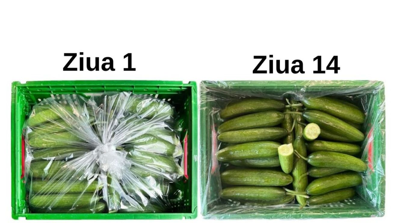 „Ambalajele viitorului”. Un producător din Turcia lansează o metodă prin care extinde durata de viață a fructelor și legumelor prin utilizarea atmosferei modificate: „Obiectivul nostru este să optimizăm prospețimea, să reducem pierderile și să asigurăm o gestionare sustenabilă și eficientă a produselor proaspete pe întreg lanțul de aprovizionare”