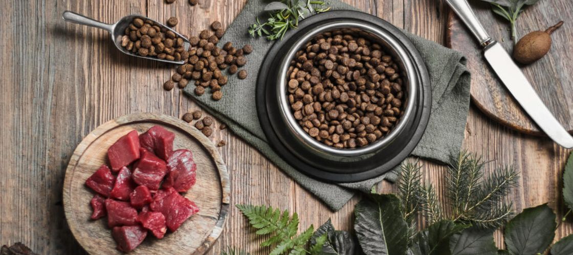 Producătoarea unui brand de snacks-uri organice pentru animale le pune și în pachetul propriilor copii. Femeia susține că prioritățile nutriționale pentru oameni ar trebui să se reflecte și în hrana animalelor de companie