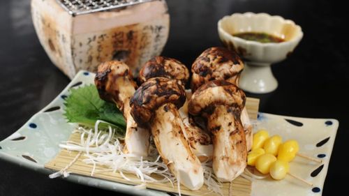 Opt ciuperci matsutake vândute în Japonia la licitație contra sumei de aproape 5000 euro. Vor fi destinate clienților unui local tradițional japonez din Kyoto