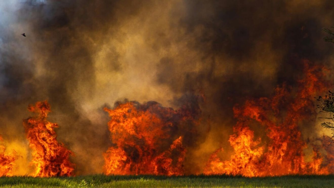 O treime din zonele de păşunat ale Parcului Naţional Etosha din Namibia, distruse de un incendiu