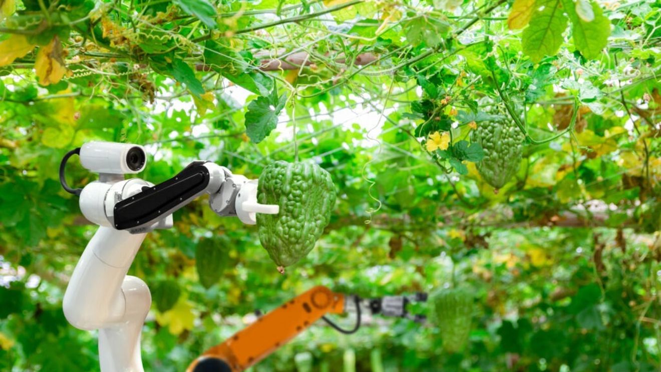 Companie de cercetare: Piața globală de roboți agricoli va depăși pragul de 80 de miliarde de dolari până în 2033 / Anul trecut vânzările au fost de 13 miliarde de dolari