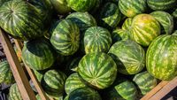 Cum alegi un pepene roșu copt și dulce / Indiciul ascuns pe care îl caută cunoscătorii