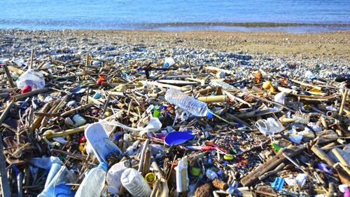 Zeci de țări resping proiectul de tratat privind poluarea cu plastic, pentru că este „inacceptabil și mult prea slab” / Poluarea cu plastice a ajuns la cote care ne pun sănătatea în pericol, arată studiile