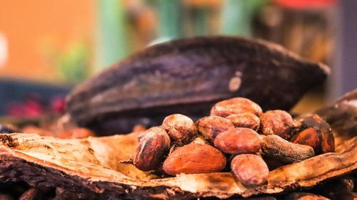 Preţurile boabelor de cafea şi cacao au atins niveluri record / Banca Citi consideră că mai este spaţiu de creştere