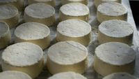Cea mai bună brânză din lume se confruntă cu o problemă neașteptată. Graviera din Naxos, specialitatea grecească pentru care producătorii nu pot ține pasul cu cererea